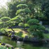 Jak urządzić ogród w stylu Zen?