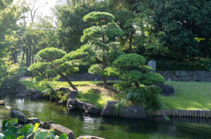 Ogród w stylu Zen